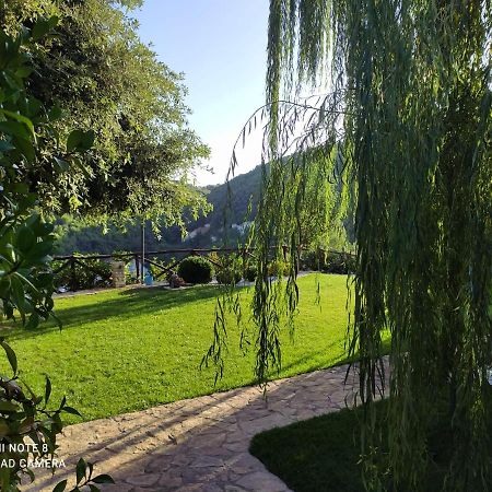 B&B Volver Peschici Bagian luar foto
