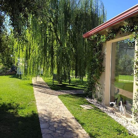 B&B Volver Peschici Bagian luar foto