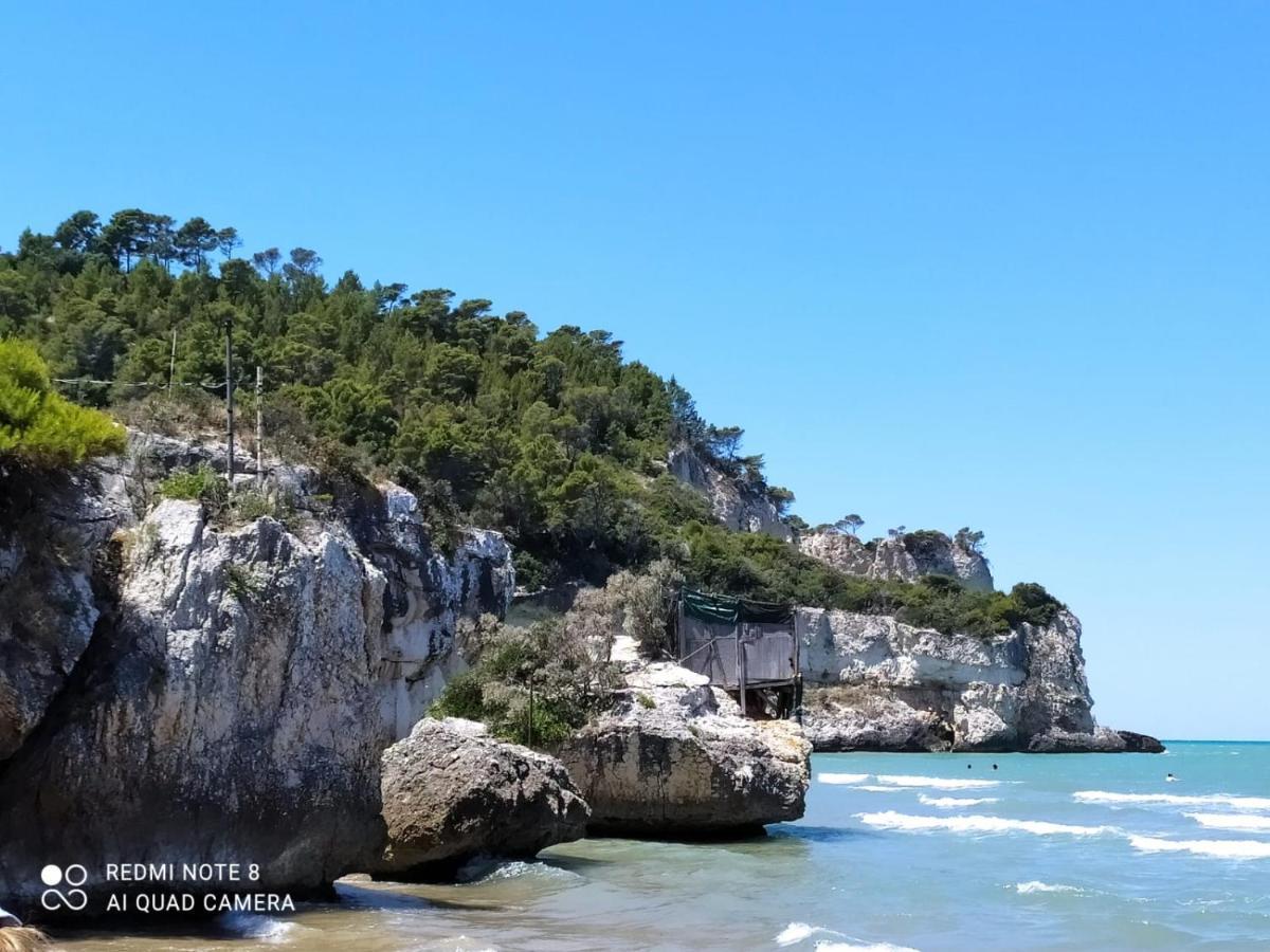 B&B Volver Peschici Bagian luar foto