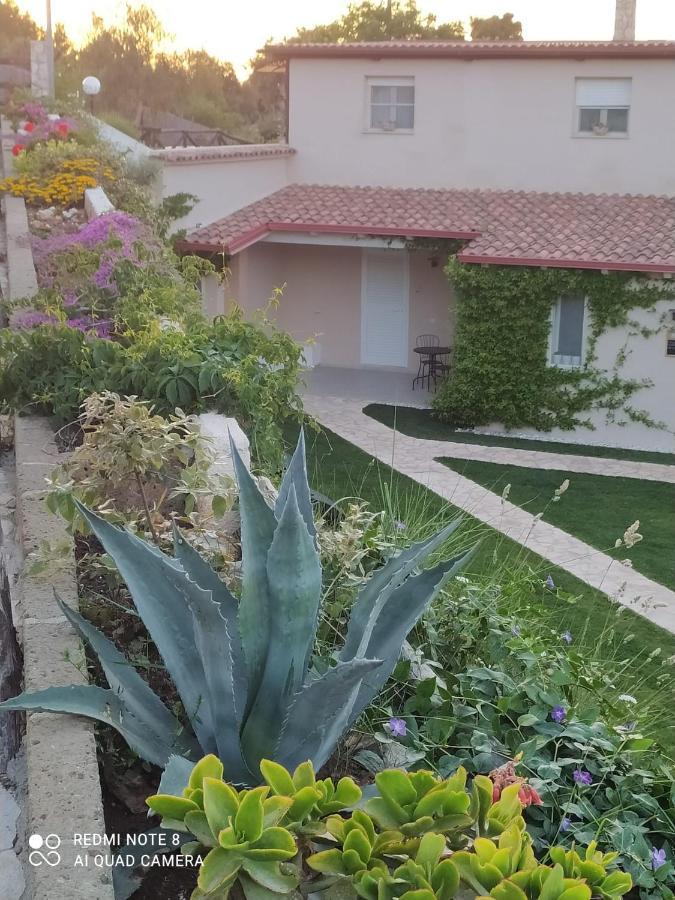 B&B Volver Peschici Bagian luar foto