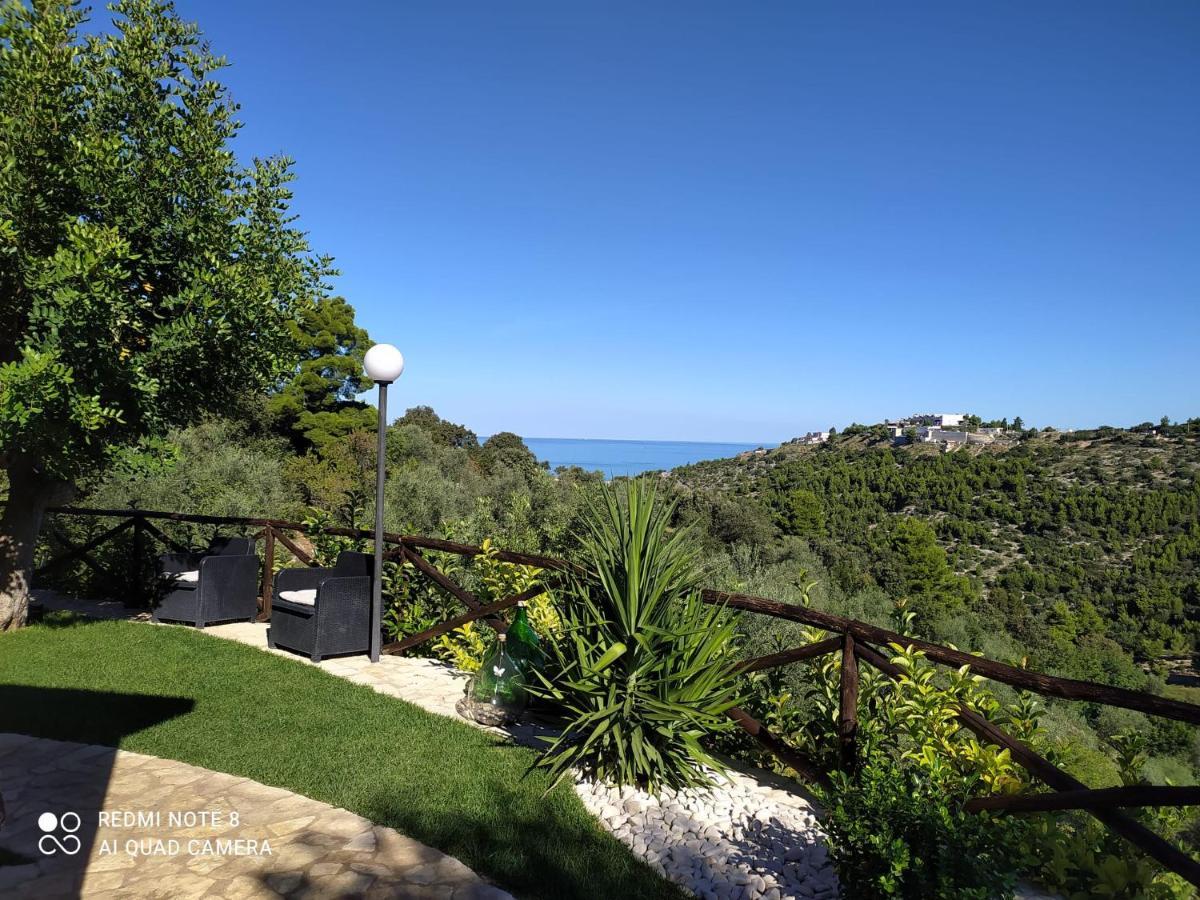 B&B Volver Peschici Bagian luar foto