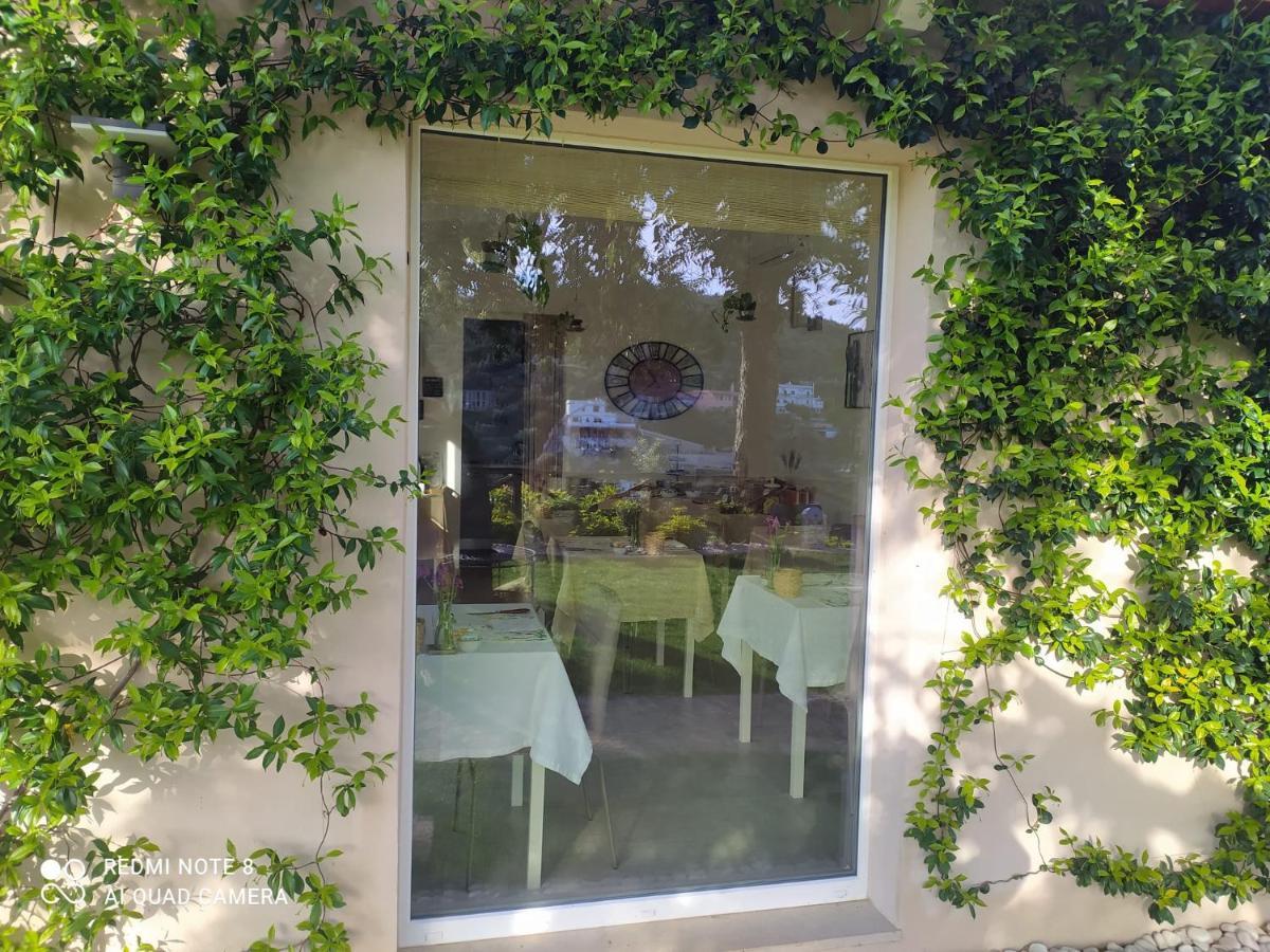 B&B Volver Peschici Bagian luar foto