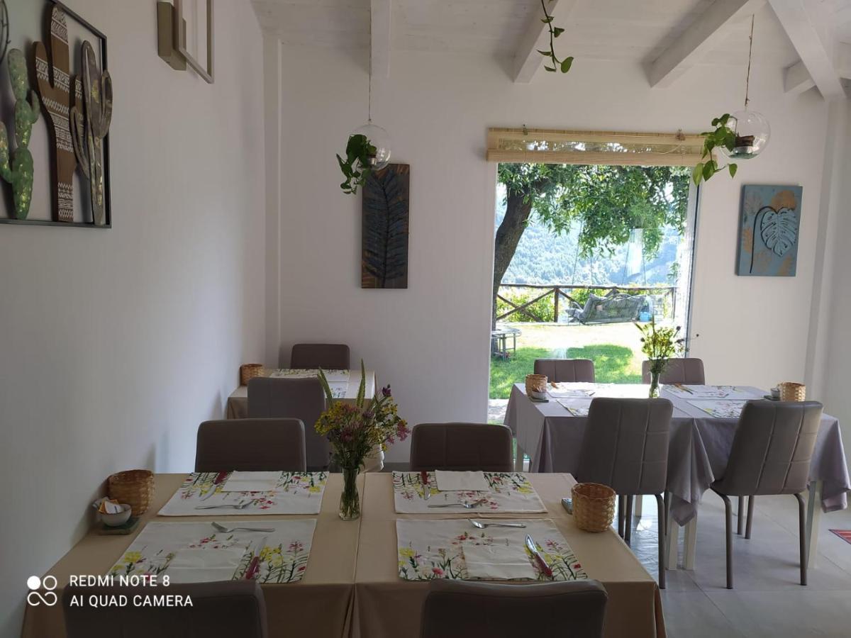 B&B Volver Peschici Bagian luar foto