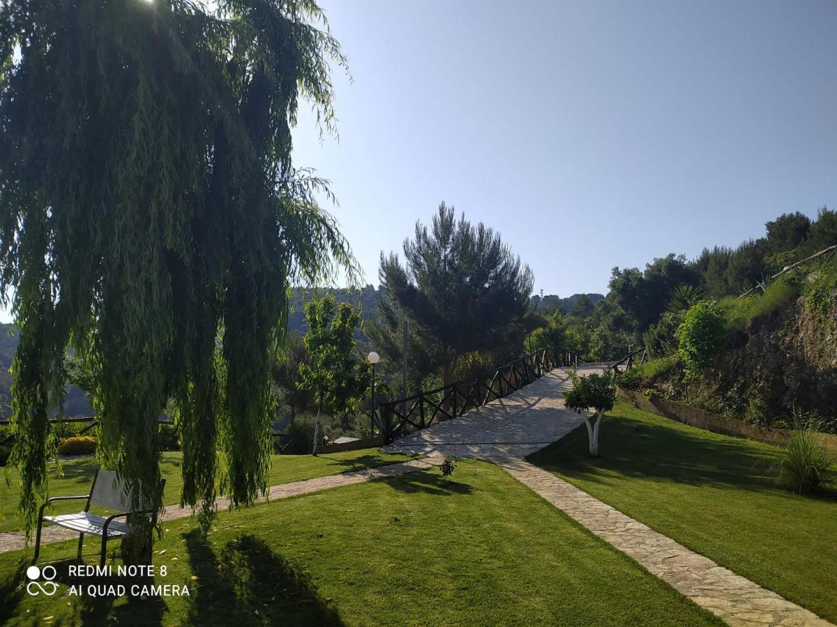 B&B Volver Peschici Bagian luar foto